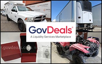 Sierra Auction Inventory on GovDeals