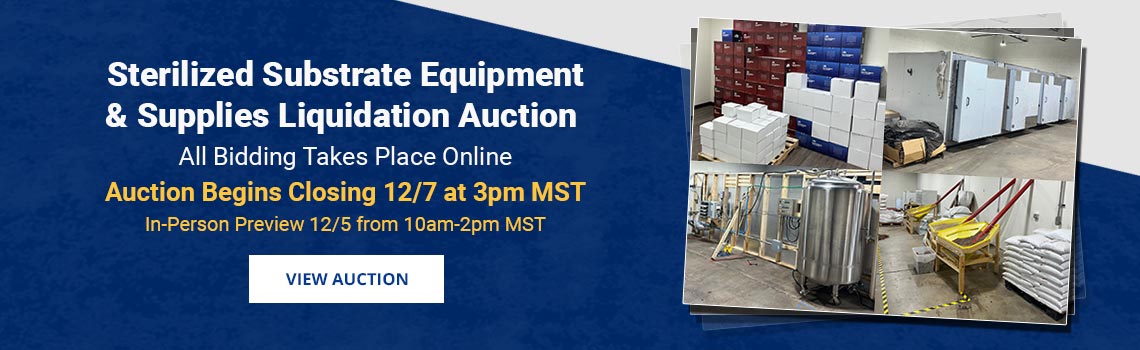 Image showing upcoming auction with link