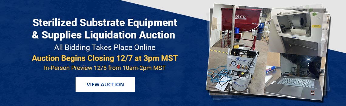 Image showing upcoming auction with link